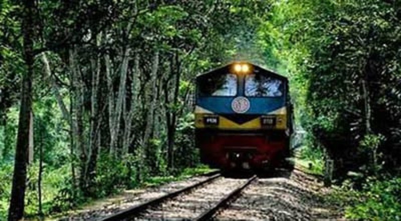 বনের মধ্য দিয়ে সড়ক, রেলপথ বন্ধের সুপারিশ