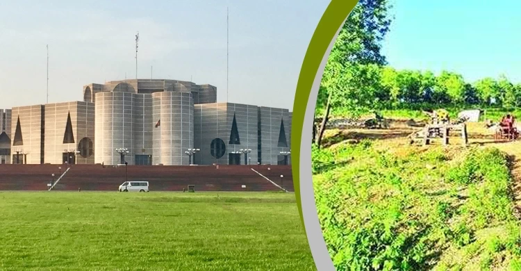 ৯০ হাজার দখলদারের হাতে ২ লাখ ৮৭ হাজার একর বনভূমি