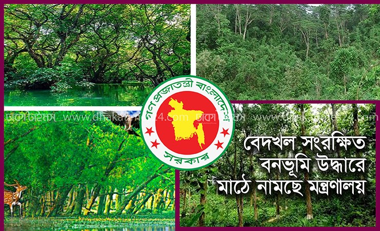 বেদখল সংরক্ষিত বনভূমি উদ্ধারে মাঠে নামছে মন্ত্রণালয়