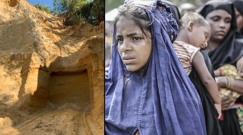 রোহিঙ্গাদের বসতি তৈরিতে পরিবেশের ক্ষতি, বাংলাদেশে ধ্বংস হাজার হাজার একর বনাঞ্চল