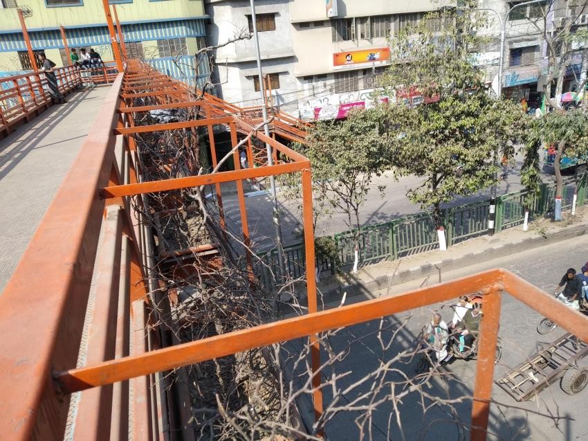 ৮০০ কোটি টাকার প্রকল্পে ৩০ কোটি নিলো পরামর্শকরাই!