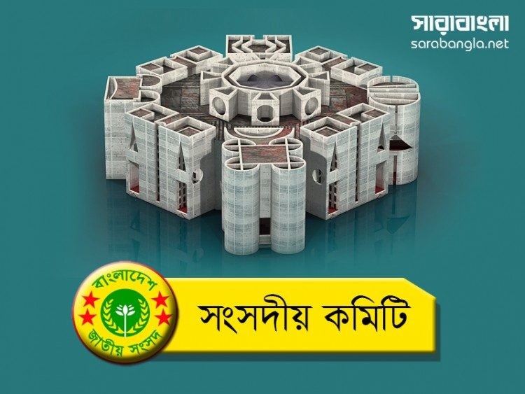 মশা নিধনের কীটনাশক আমদানিতে শুল্কহার কমানোর সুপারিশ