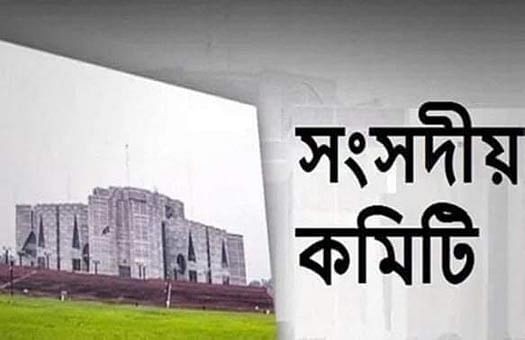 চামড়াশিল্প নগর বন্ধের সুপারিশ