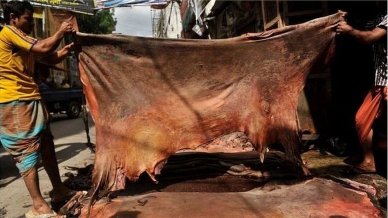 ট্যানারি দূষণ: বুড়িগঙ্গা বাঁচাতে সাভারে নেয়া ট্যানারি থেকে ধলেশ্বরীর দূষণ, চামড়া শিল্প নগরী বন্ধের দাবি নিয়ে বিতর্ক