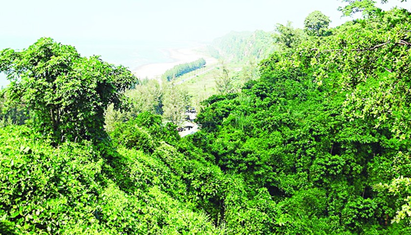 বনভূমিতে সরকারি কর্মকর্তাদের প্রশিক্ষণ একাডেমি নির্মাণে সংসদীয় কমিটির বিরোধিতা