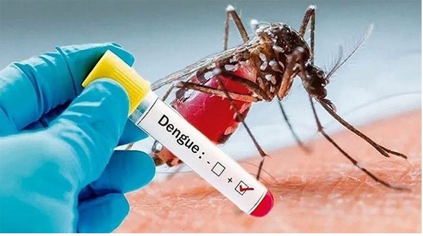 জলবায়ু পরিবর্তনে ডেঙ্গুর প্রকোপ বৃদ্ধি