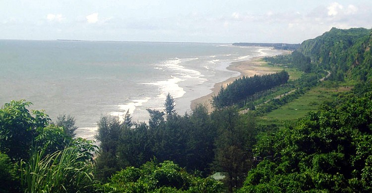 ৭০০ একর বনভূমি বরাদ্দ স্থগিতের বিরুদ্ধে আপিল শুনানি আজ