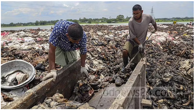 চামড়া শিল্পনগরে দূষণ: সংসদীয় কমিটির 'পদক্ষেপ' কাজে আসছে?