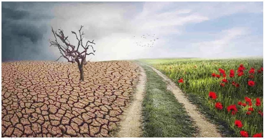 ‘বিশুদ্ধ পানির সংকটে সবচেয়ে বেশি ক্ষতিগ্রস্ত দেশের নারীরা’