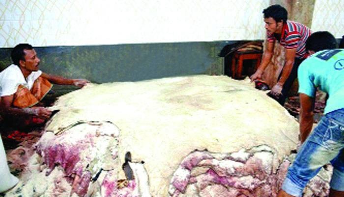 ছাড়পত্রবিহীন ট্যানারি বন্ধের সিদ্ধান্ত