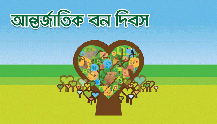সংরক্ষিত বনও অরক্ষিত