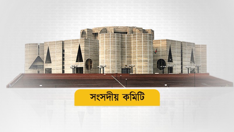 রাবারকে কৃষিপণ্য হিসেবে ঘোষণা চায় সংসদীয় কমিটি